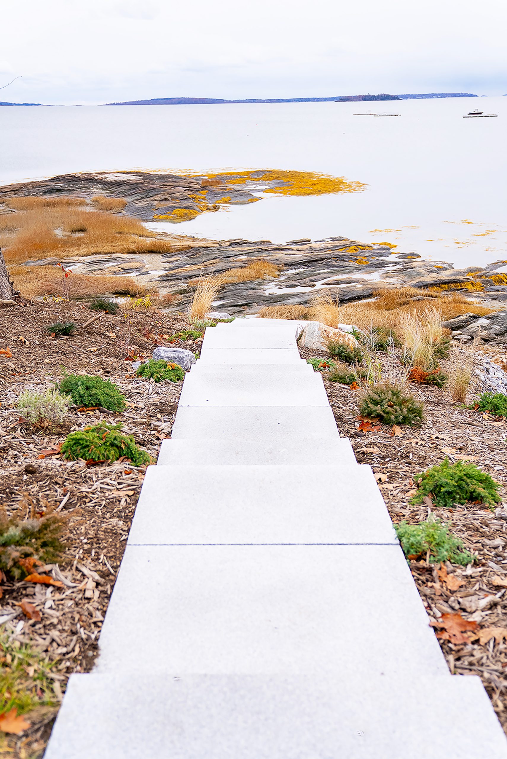 Designing, Building, & Creating your dream landscape